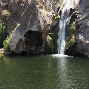 Meet your Posher, Steven